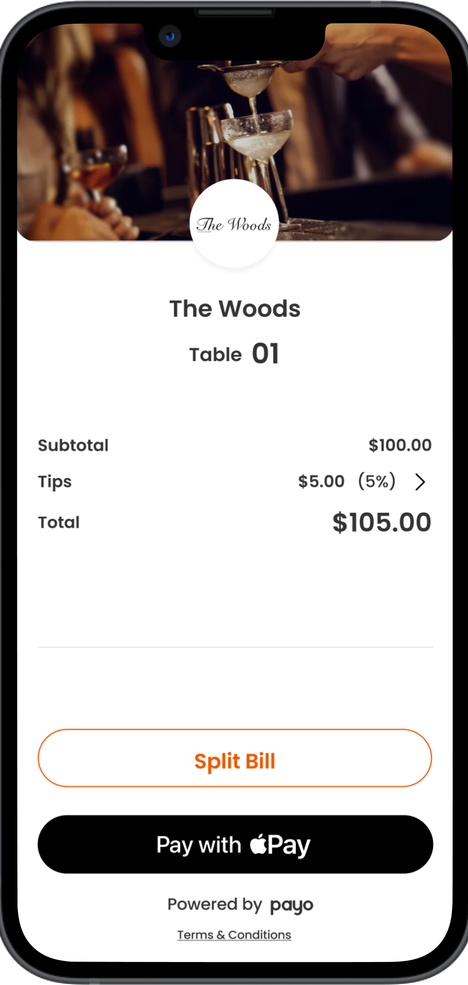 Payo Checkout on a phone